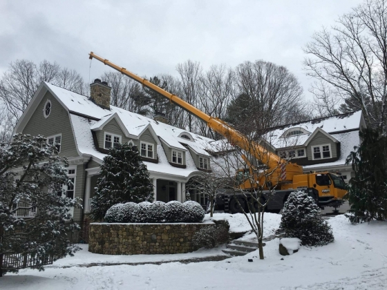 Stumpy's Tree Service